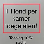 De Notelaar
