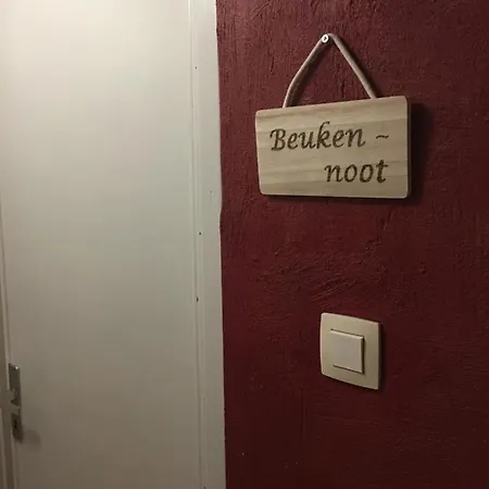 De Notelaar